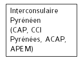 Interconsulaire Pyrénéen (CAP, CCI Pyrénées, ACAP, APEM)